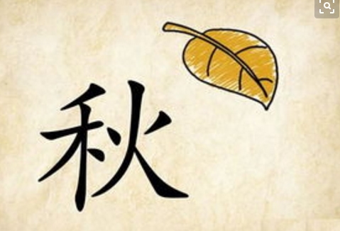 秋字五行属什么?